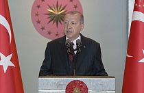 Erdogan dispuesto a atacar a los kurdos en Siria