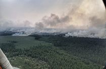 Incendi in Siberia: ministero ottimista, Greenpeace pessimista