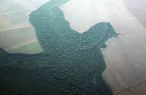 ¿Quieres ayudar a frenar el cambio climático? La ONU recomienda comer menos carne