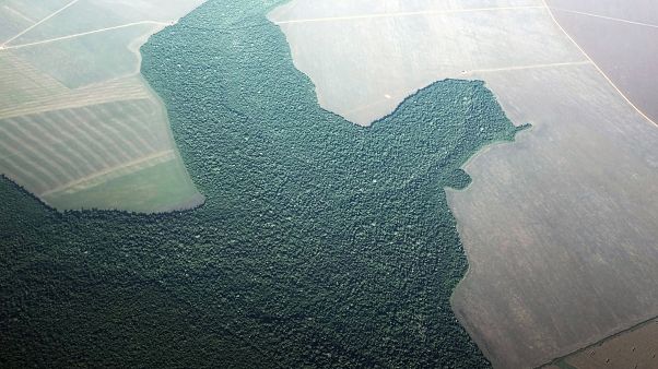 ¿Quieres ayudar a frenar el cambio climático? La ONU recomienda comer menos carne ¿Quieres ayudar a frenar el cambio climático? La ONU recomienda comer menos carne