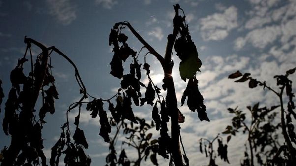Carenza d'acqua: San Marino tra i 17 paesi ad "elevato stress idrico" Carenza d'acqua: San Marino tra i 17 paesi ad "elevato stress idrico"
