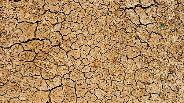 España es uno de los países de Europa con mayor estrés hídrico España es uno de los países de Europa con mayor estrés hídrico
