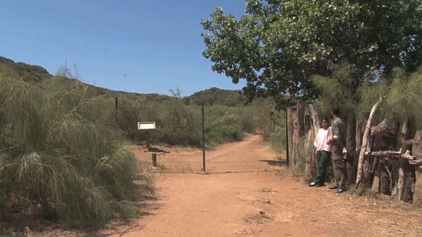 شاهد: بحيرة ومحمية طبيعية بالمغرب بين مطرقة التصحر وسندان التلوث شاهد: بحيرة ومحمية طبيعية بالمغرب بين مطرقة التصحر وسندان التلوث