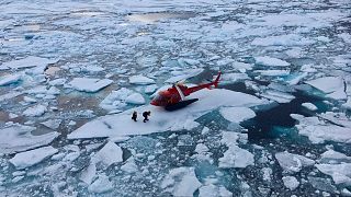 İstanbul-New York uçuşunda her yolcu Kutuplarda 9,3 metre kare buzulun erimesine neden oluyor