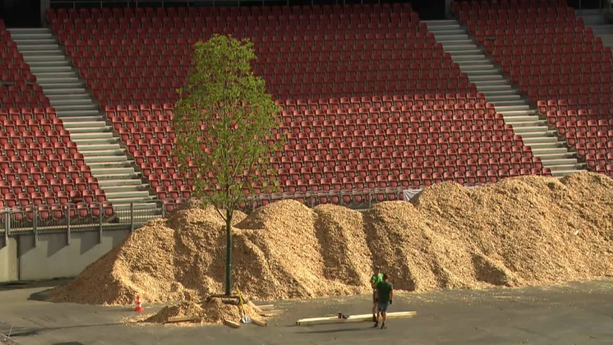 Los árboles sustituyen a los goles en un estadio austriaco