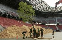 Erdőt ültetnek az egykori stadion területén