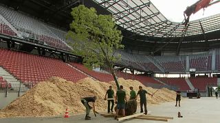 Mahnmal in Stadion: Ein Wald entsteht 