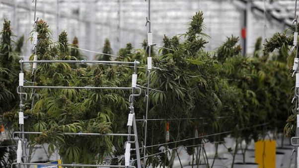 Il Lussemburgo potrebbe diventare il primo paese della Ue a legalizzare la cannabis Il Lussemburgo potrebbe diventare il primo paese della Ue a legalizzare la cannabis
