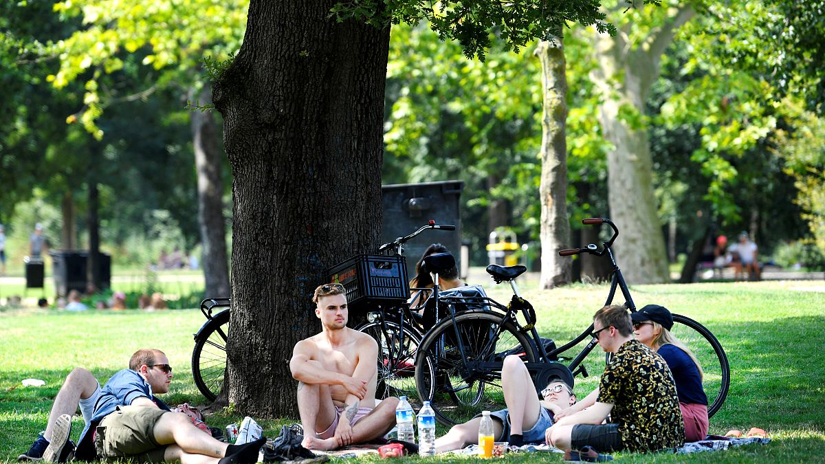 Hollanda'da aşırı sıcaklar sebebiyle hayatını kaybedenlerin sayısı ortalamayı 400 kişi aştı