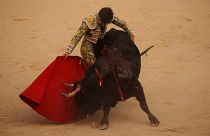 Las corridas de toros vuelven a Baleares después de que el TC levantase su prohibición