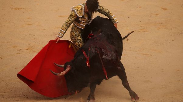 Las corridas de toros vuelven a Baleares después de que el TC levantase su prohibición Las corridas de toros vuelven a Baleares después de que el TC levantase su prohibición