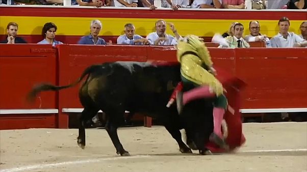 Kultur oder Tortur? Stierkampf zurück auf Mallorca Kultur oder Tortur? Stierkampf zurück auf Mallorca