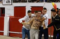 Mallorca Adası'nda boğa güreşleri protestolar arasında yeniden başladı