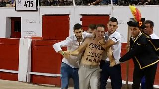 Mallorca Adası'nda boğa güreşleri protestolar arasında yeniden başladı