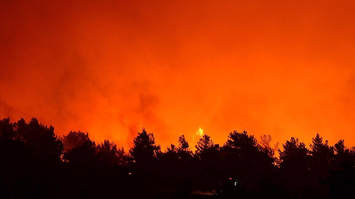 Çanakkale'nin Eceabat ilçesinde çıkan orman yangınını kontrol altına alma çalışmaları sürüyor