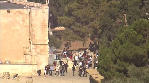 Palestino abatido junto a la valla de la Franja Palestino abatido junto a la valla de la Franja