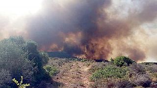 Σε ύφεση η πυρκαγιά στην Ελαφόνησο-Κίνδυνος και τη Δευτέρα