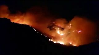Incêndios na Gran Canaria e ilha de Elafonissos (Grécia)