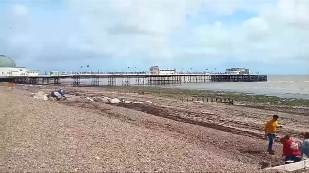Mérgezésveszély miatt zártak le egy brit strandot Mérgezésveszély miatt zártak le egy brit strandot