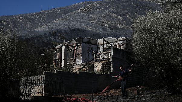 La Grèce fait face à plus de 50 incendies de forêt La Grèce fait face à plus de 50 incendies de forêt