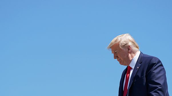 Donald Trump met (encore plus) en péril les espèces menacées Donald Trump met (encore plus) en péril les espèces menacées