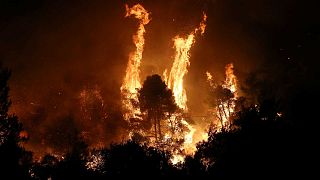 Sur l'île d'Eubée en Grèce, des flammes toujours incontrôlables
