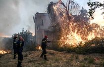 Φωτιά στην Εύβοια: Μάχη με τις φλόγες