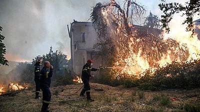 Φωτιά στην Εύβοια: Μάχη με τις φλόγες