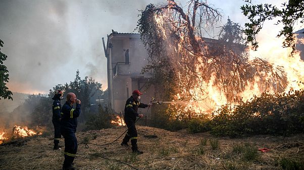 Fogo não dá tréguas em Eubeia Fogo não dá tréguas em Eubeia