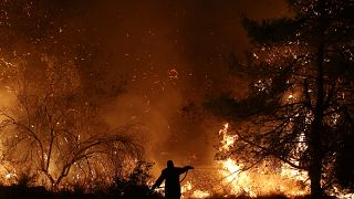 El fuego arrasa la reserva natural de la isla griega de Eubea
