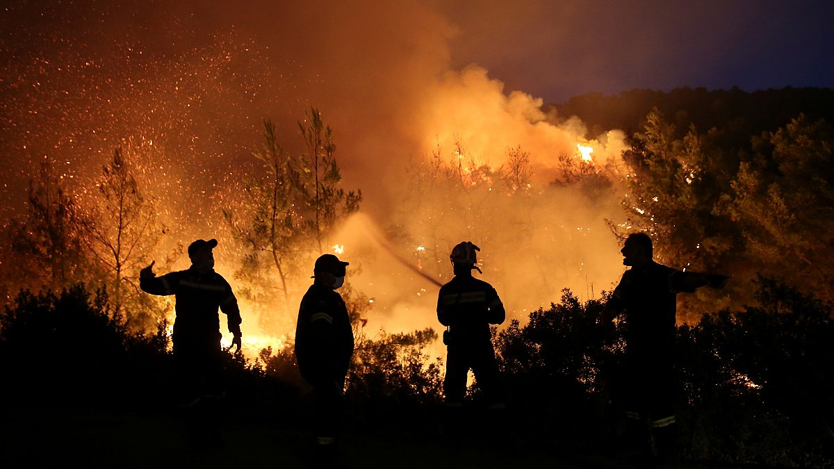 Firefighters try to extinguish a wildfire burning near the village of Makrimalli on the island of Evia, Greece, August 13, 2019. 