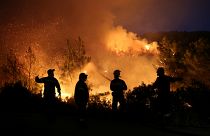 Firefighters try to extinguish a wildfire burning near the village of Makrimalli on the island of Evia, Greece, August 13, 2019.