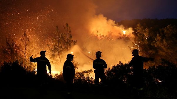Firefighters try to extinguish a wildfire burning near the village of Makrimalli on the island of Evia, Greece, August 13, 2019. Firefighters try to extinguish a wildfire burning near the village of Makrimalli on the island of Evia, Greece, August 13, 2019.