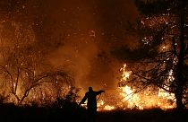 گسترش ابعاد آتش‌سوزی جنگل‌های جزیره اِویا