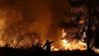 گسترش ابعاد آتش‌سوزی جنگل‌های جزیره اِویا