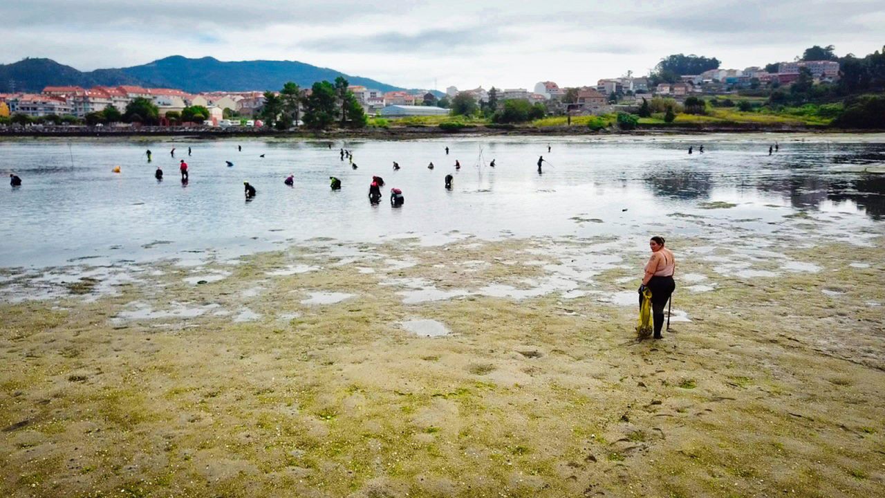 The invisible women of Europe's fishing industry The invisible women of Europe's fishing industry