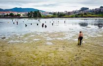 A "láthatatlan" nők egy férfiak által dominált szektorban