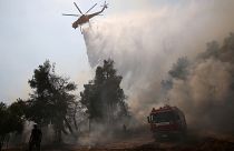 Incendies en Grèce : La solidarité sauve Eubée de la catastrophe écologique
