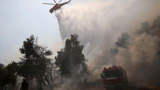 Incendies en Grèce : La solidarité sauve Eubée de la catastrophe écologique