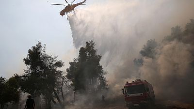 Incendies en Grèce : La solidarité sauve Eubée de la catastrophe écologique