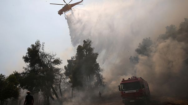 Incendies en Grèce : La solidarité sauve Eubée de la catastrophe écologique Incendies en Grèce : La solidarité sauve Eubée de la catastrophe écologique