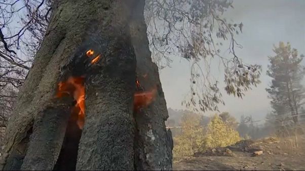Эвбея в огне Эвбея в огне