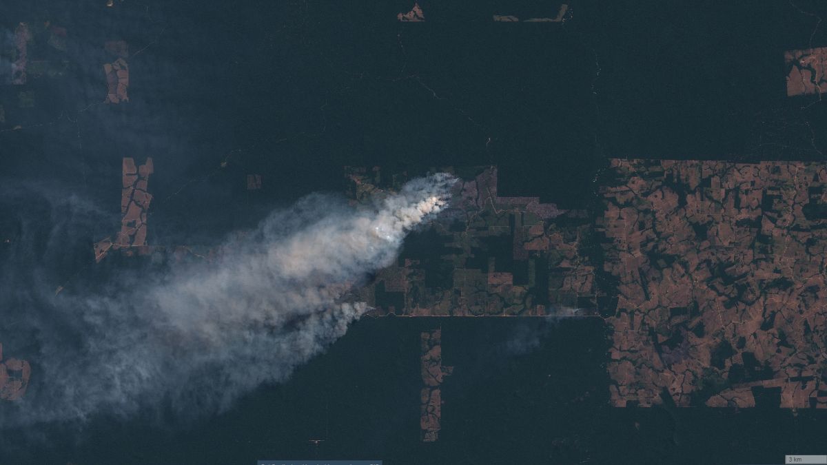 Amazon fires generate smoke cloud almost as big as devastating Siberia blaze