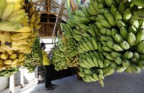 Κολομβία: Η αρρώστια της μπανάνας