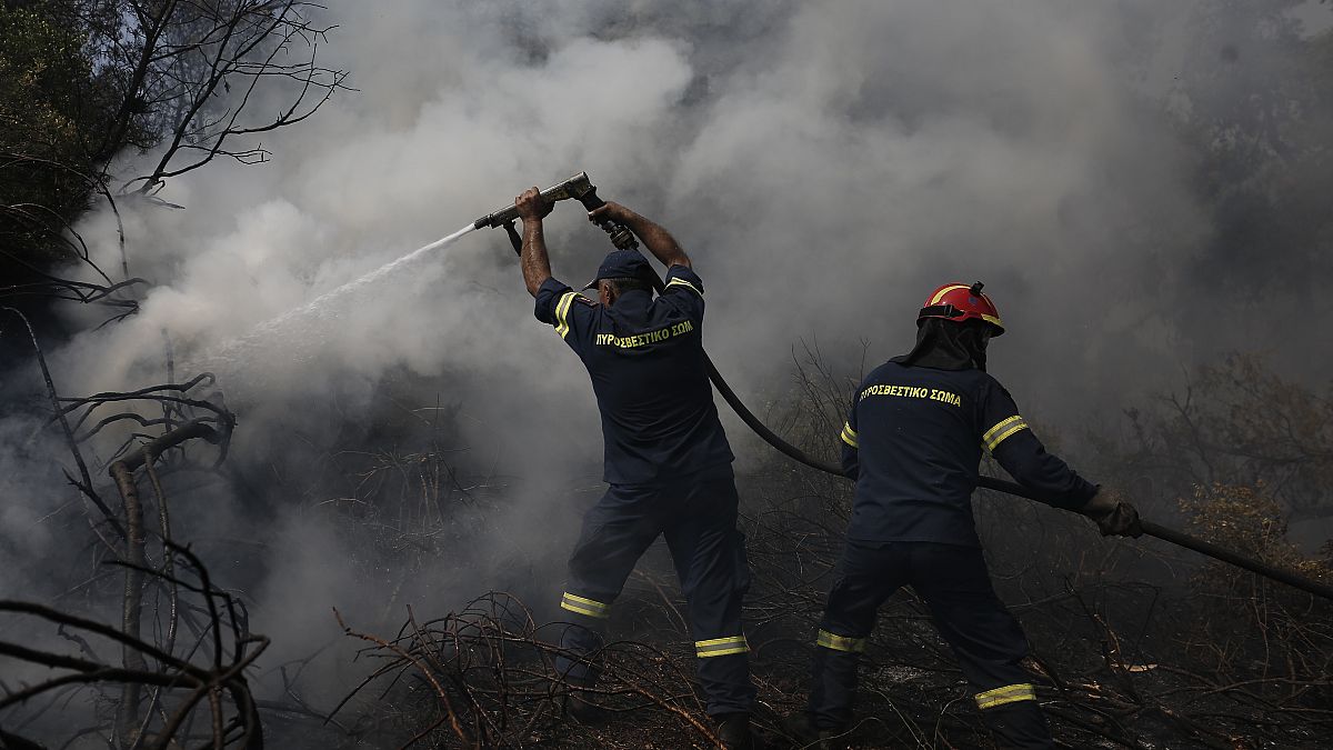 Grèce : l'incendie sur l'île d'Eubée "contenu"