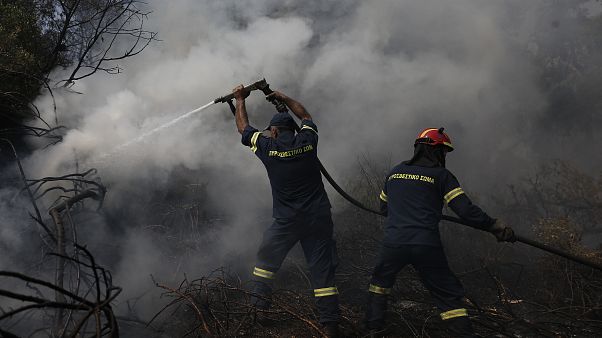 Πυροσβέστες επιχειρούν στην κατάσβεση της πυρκαγιά κοντά στο χωριό Μακρυμάλλη Πυροσβέστες επιχειρούν στην κατάσβεση της πυρκαγιά κοντά στο χωριό Μακρυμάλλη