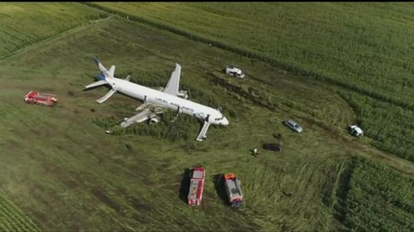 I gabbiani costringono il volo Mosca-Sinferopoli ad un atterraggio di emergenza I gabbiani costringono il volo Mosca-Sinferopoli ad un atterraggio di emergenza