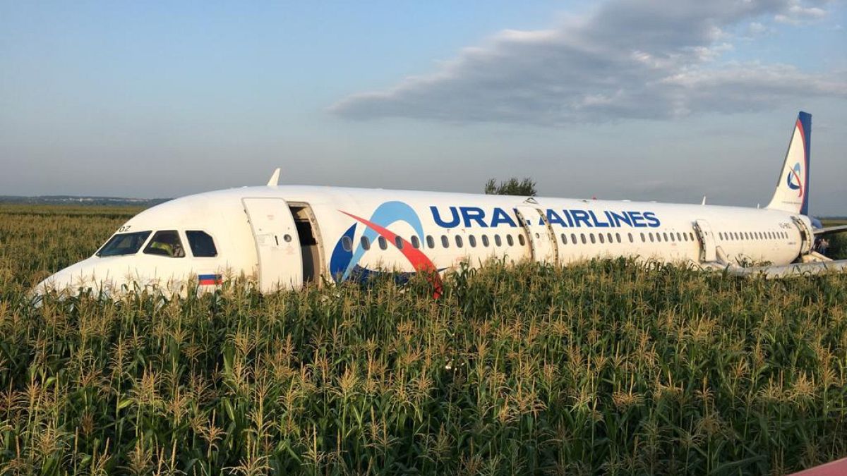 Moskova yakınlarında mısır tarlasına acil iniş yapan Ural Havayollarına ait yolcu uçağı
