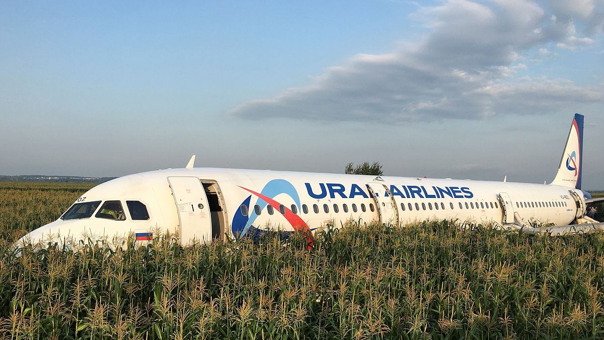 Russian plane crash-lands in field after bird strike, no casualties reported