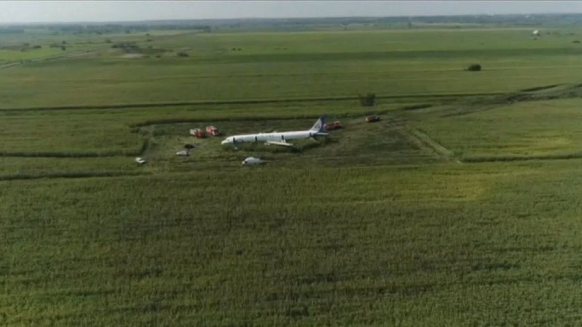 Airbus A321 столкнулся с чайками